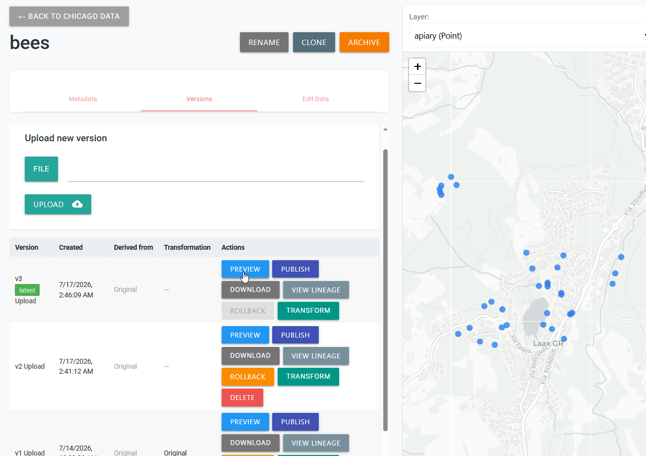 Bees dataset Versions tab with the latest upload and map preview
